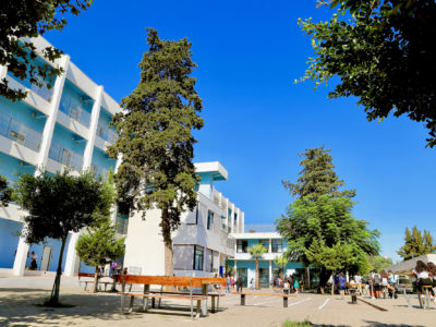 LIAD ALGER
